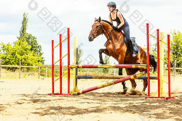 积极的女骑师训练骑马跳过栅栏。马术运动竞赛和活动。