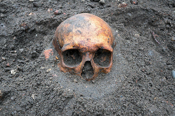 考古挖掘古董头骨一半埋地面