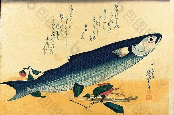 波拉鯔 （乌<strong>鱼</strong>，平头乌<strong>鱼</strong>）大约在19世纪30年代或40年代，Uozukushi（各种<strong>鱼</strong>类）系列<strong>的</strong>Utagawa Hiroshige木刻版画