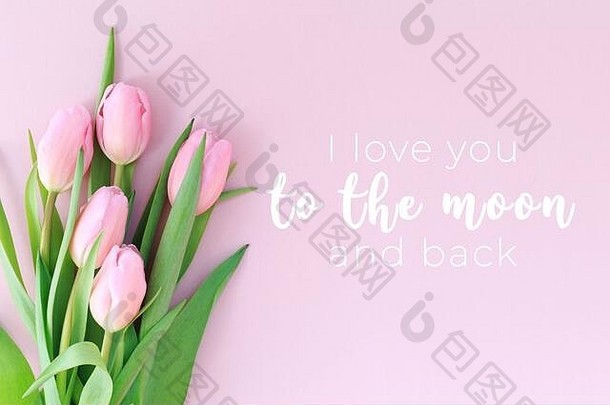 我爱你到月亮和背面的文字与粉红色郁金香在粉红色的背景。平面布置，俯视图。情人节和母亲节背景。。横幅格式