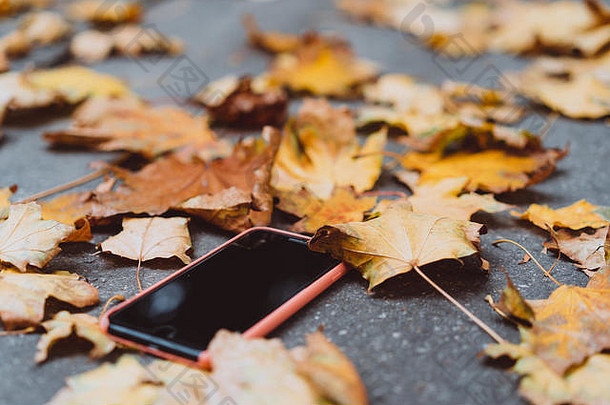 秋天躺在地上的智能手机