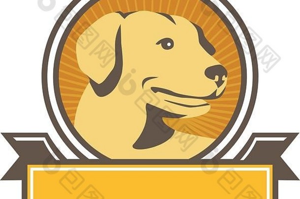 插图黄色的拉布拉多金寻回犬狗头一边查看前面集内部圆的阳光背景