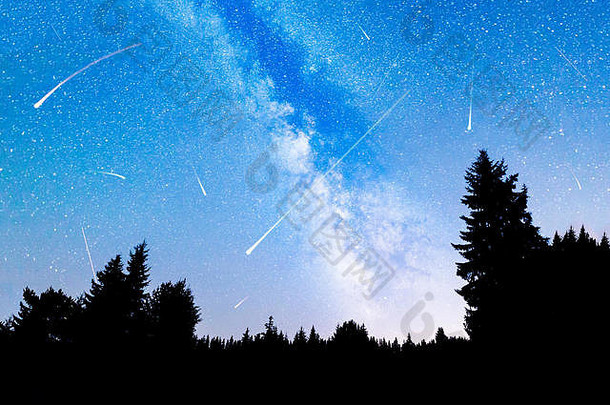 视图星星乳白色的轮廓松树森林前景晚上天空自然夏天兰斯卡