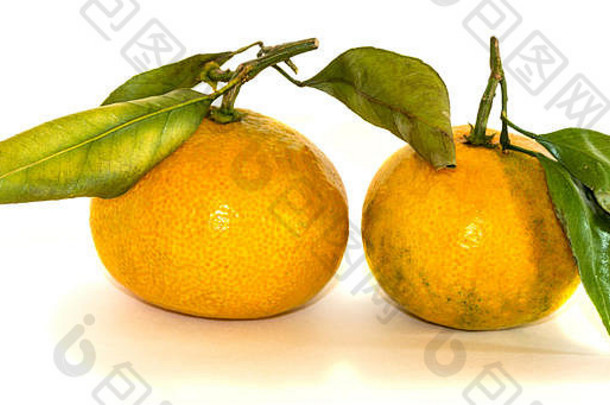 在白色背景上分离出来的橘子。俄罗斯联邦
