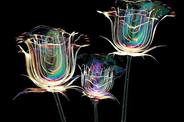 彩色玻璃花隔离在黑色，玫瑰3d插图