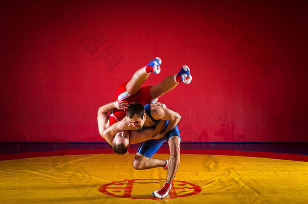 年轻的但蓝色的红色的摔跤连裤袜wrestlng使后拉抱摔跤黄色的摔跤地毯健身房