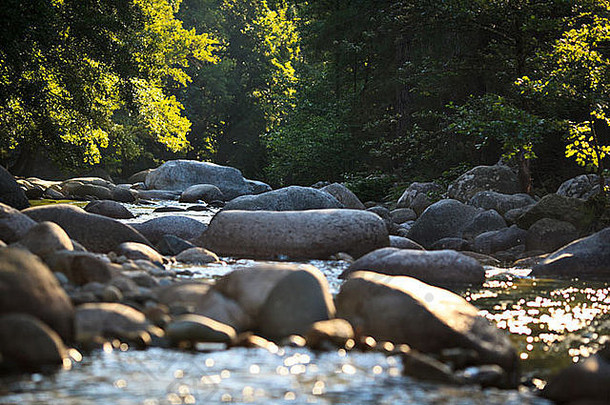 法国科西嘉岛雷斯托尼卡山谷的山河，被早晨温暖的阳光照亮
