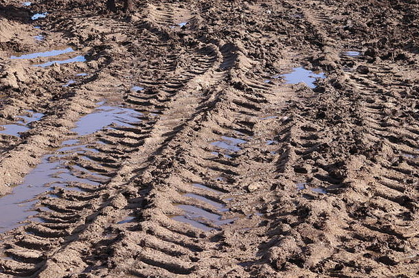 泥泞中的轮胎痕迹，摘要