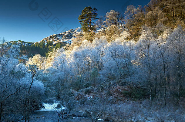 冬季景观，有霜冻树木和瀑布。特罗萨克斯家族，苏格兰，英国。