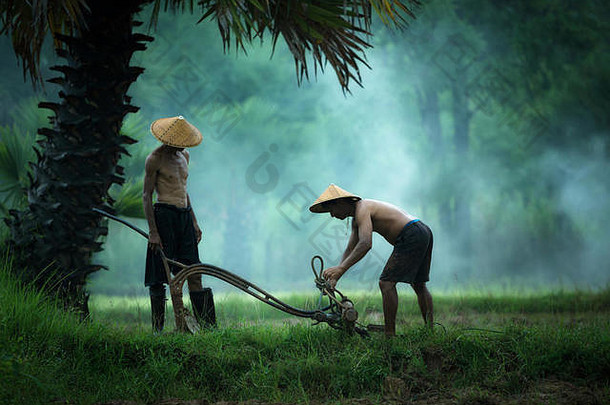 农民准备工具农民泰国