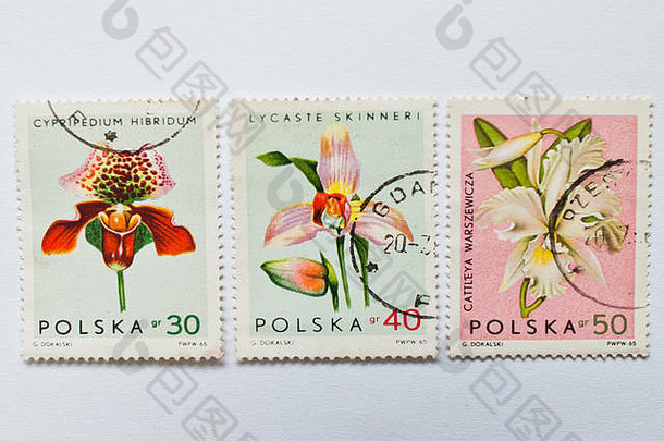 乌兹戈罗德，乌克兰——大约2016年5月：波兰印刷的邮票集，展示兰花，大约1965年