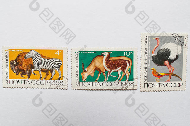 乌兹戈罗德，乌克兰——大约2016年5月：苏联印制的邮票集展示了阿斯卡尼亚诺瓦自然保护区的动物