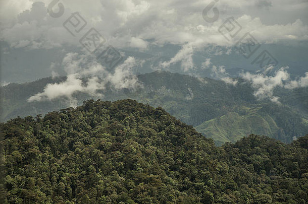 巴布亚新几内亚，从MAF（传教士航空联谊会）飞机上看到的偏远森林景观