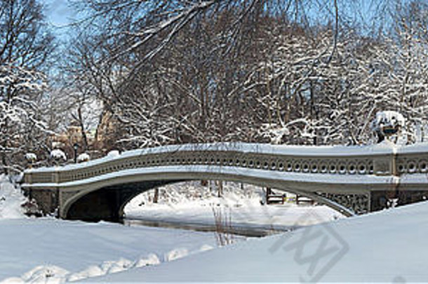 中央公园纽约城市弓桥全景