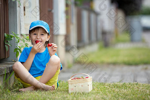 <strong>甜蜜</strong>的可爱的孩子男孩吃草莓夏<strong>季</strong>孩子吃健康的有机自制的新鲜的草莓