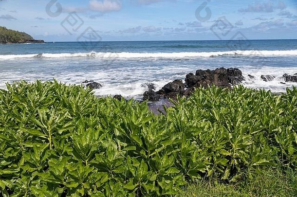 海浪冲进夏威夷的哈纳海滩