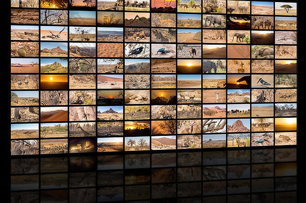 纳米比亚的各种形象被视为一个巨大的形象墙、纪录片频道
