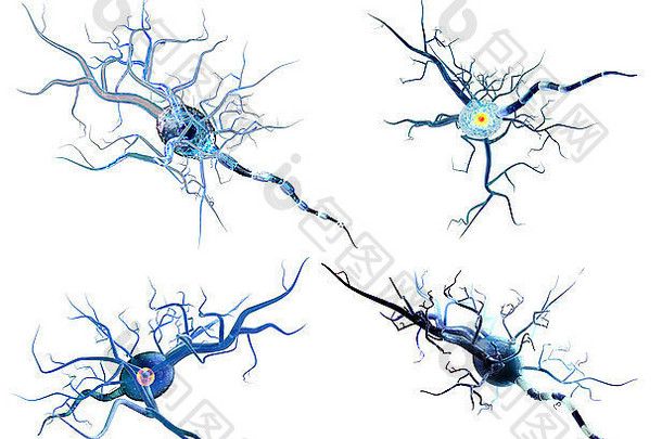 神经细胞，神经疾病、肿瘤和脑外科的概念。