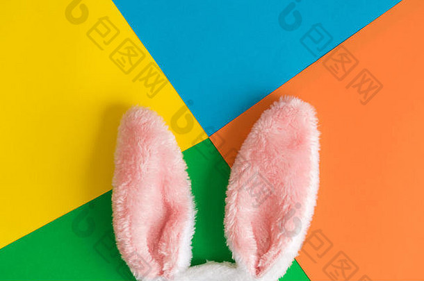 彩色背景下的兔子耳朵创意概念。