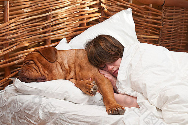 这名妇女和她的狗Dogue De Bordoux舒适地睡在床上