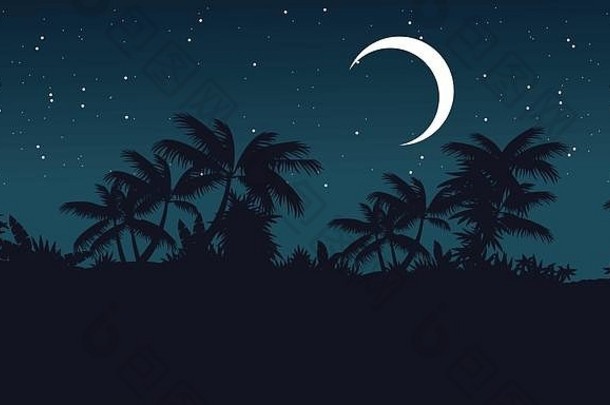 夜间丛林中棕榈树的剪影