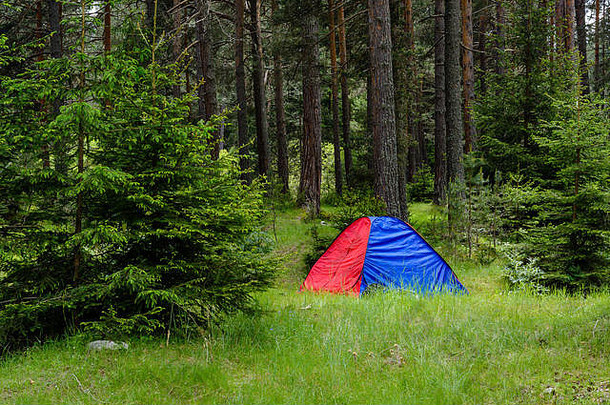 单蓝色的红色的帐篷中间松森林景观视图拍摄保加利亚