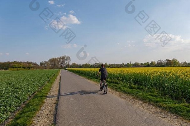 春夏时节，人们骑着自行车，沿着黄色油菜花田在蓝天下的乡间小路上慢跑。