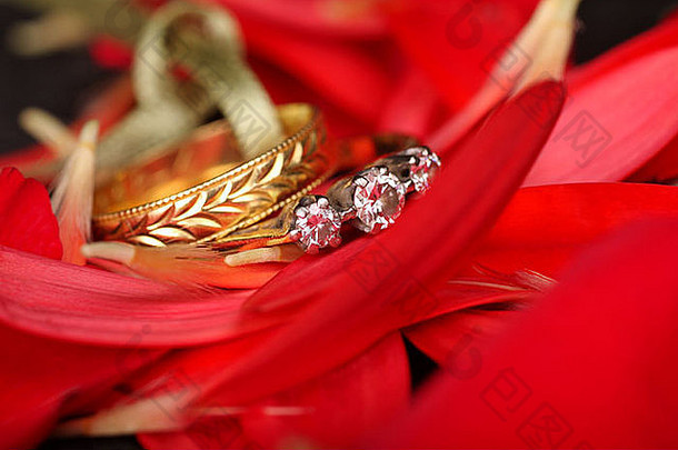 钻石订婚环黄金婚礼乐队红色的花瓣