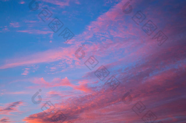 秋天傍晚的日落，在英国弗雷明翰萨福克郡上空看到稀疏的粉红色和金橙色的高海拔卷云