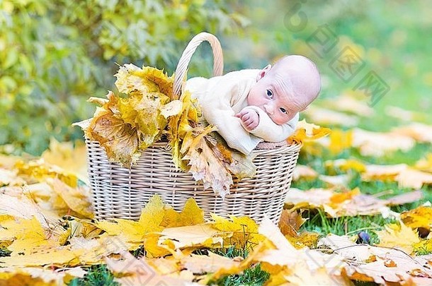 秋天，一个装着枫叶的篮子里有一个有趣的新生婴儿