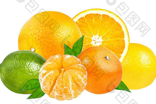白色背景上分离的柑橘类水果套装（橘子、橘子、酸橙、柠檬）