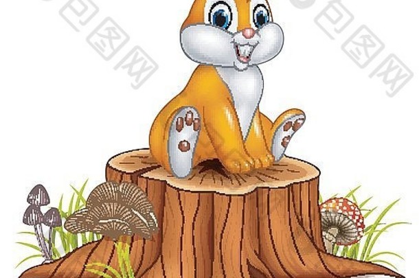 可爱的兔子坐着树树桩