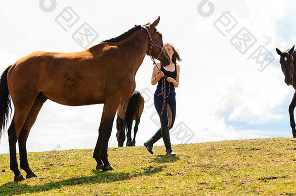 爱护动物，爱和友谊的理念。在阳光明媚的日子里，一位年轻的骑师正在抚摸一匹棕色的马