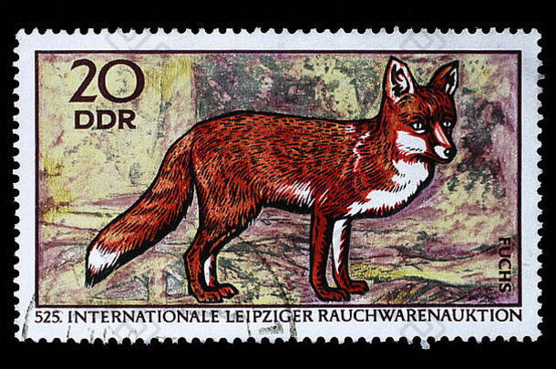 在民主德国印刷的邮票显示红狐，Vulpes Vulpes，第525届国际毛皮<strong>拍卖</strong>会，莱比锡，约1970年