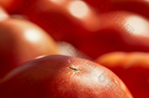 美国宾夕法尼亚州兰开斯特县阿米什郡路边农场摊位上展示的牛排西红柿