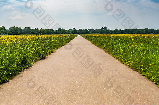 一条宽阔的柏油路和一条延伸到远处的小路的低视图，从中可以看到一对夫妇走进远处的森林。