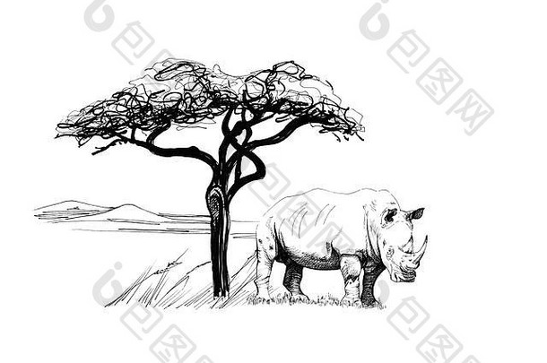 非洲一棵树旁的犀牛。手绘插图。手绘插图集（原件，无追踪）