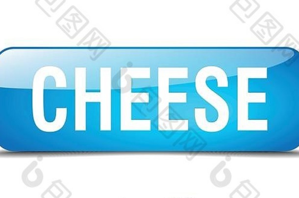 奶酪蓝色的广场现实的孤立的网络按钮