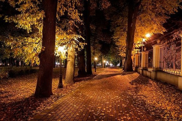 秋天的城市夜景公园，小径上散落着黄叶和树木。景观