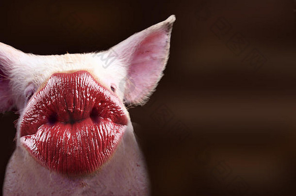 有亲吻嘴唇卡片的有趣动物，用于感谢、生日、邀请或其他活动