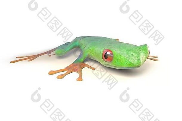来自哥斯达黎加热带雨林的红眼树蛙，被隔离在白色地面上。阿加利奇尼斯卡利德里亚斯。三维插图