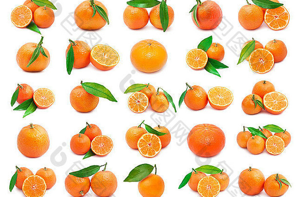 中国柑橘