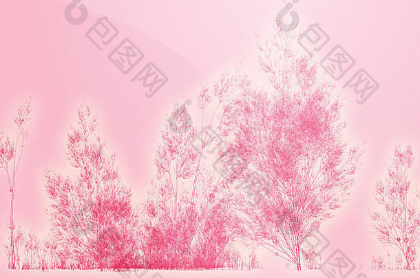 桦树抽象sillhoute在彩色背景下的插图