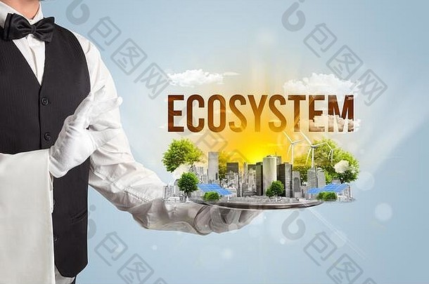 服务员服务生态城市生态系统登记renewabke能源概念