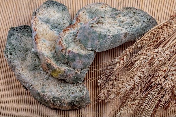 不新鲜面包上绿色霉菌的宏观照相。发霉面包的表面。发霉变质的面包。腐烂面包上的发霉真菌。顶视图。