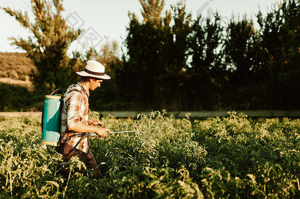 年轻的农民戴着旧帽子和格子衬衫，用手动泵罐喷洒有机肥料