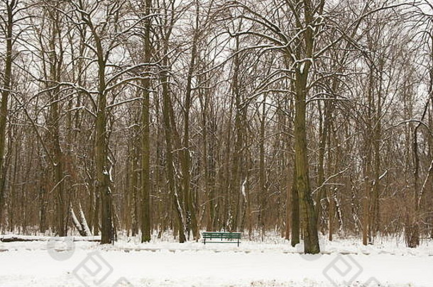 冬天公园里的长椅上有雪。树背地