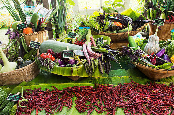 收获许多新鲜蔬菜、水果和土生土长的蔬菜，在T.N.T.的蔬菜和植物节上为泰国人民展示和销售