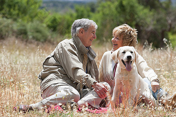 一对老夫妇和他们的狗坐在田野里
