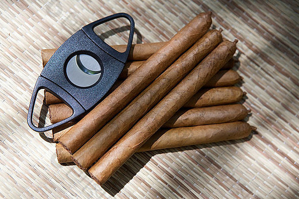 雪茄切割器和棕色烟草雪茄手卷岛上的拉帕尔马加那利群岛西班牙
